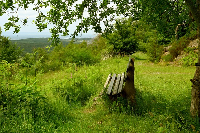 加入则为球 加入则为球