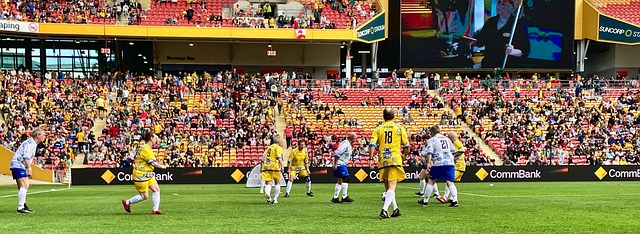 引了更多观 引了更多观