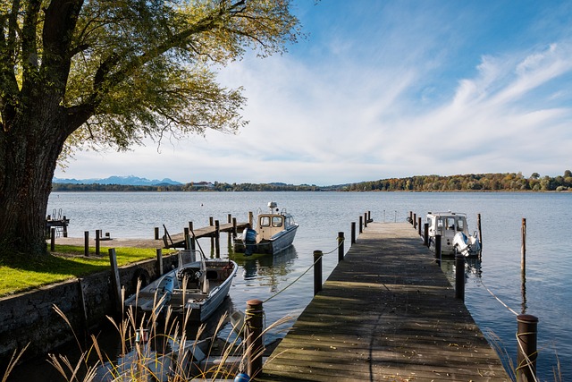 排名靠前的 排名靠前的