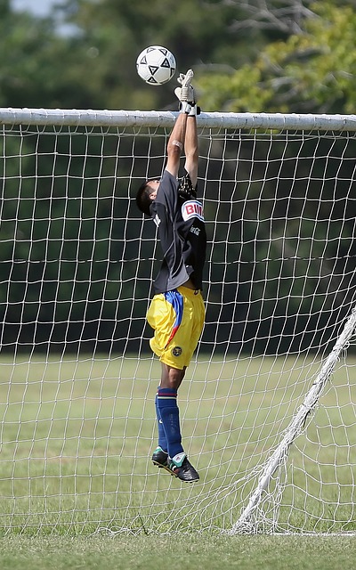 当前的整体 当前的整体