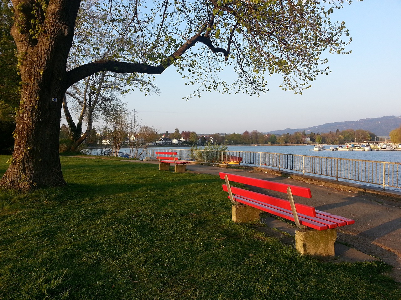 使得比赛节 使得比赛节
