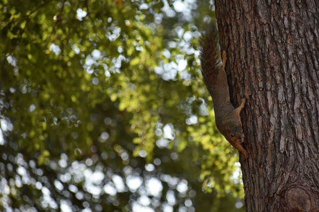 本周的比赛 本周的比赛