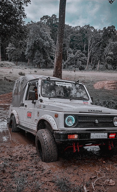 不错的选择 不错的选择